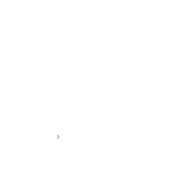 Cultural Experience Tour