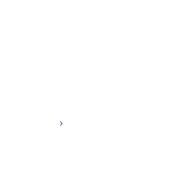 Custom Tour