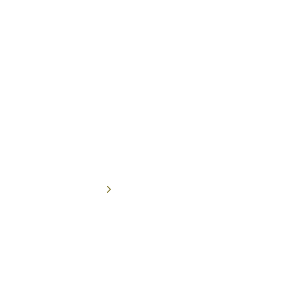 文化体験ツアー
