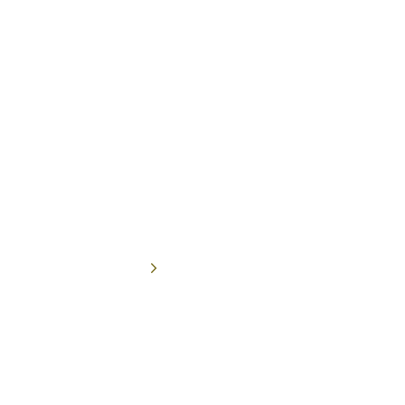 ドライバーガイド付きツアー