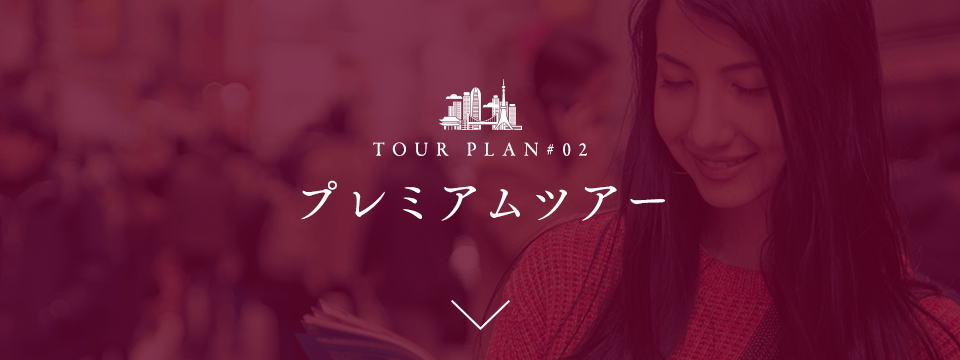 ガイド付きツアー